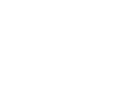 ProfiSIP Logo